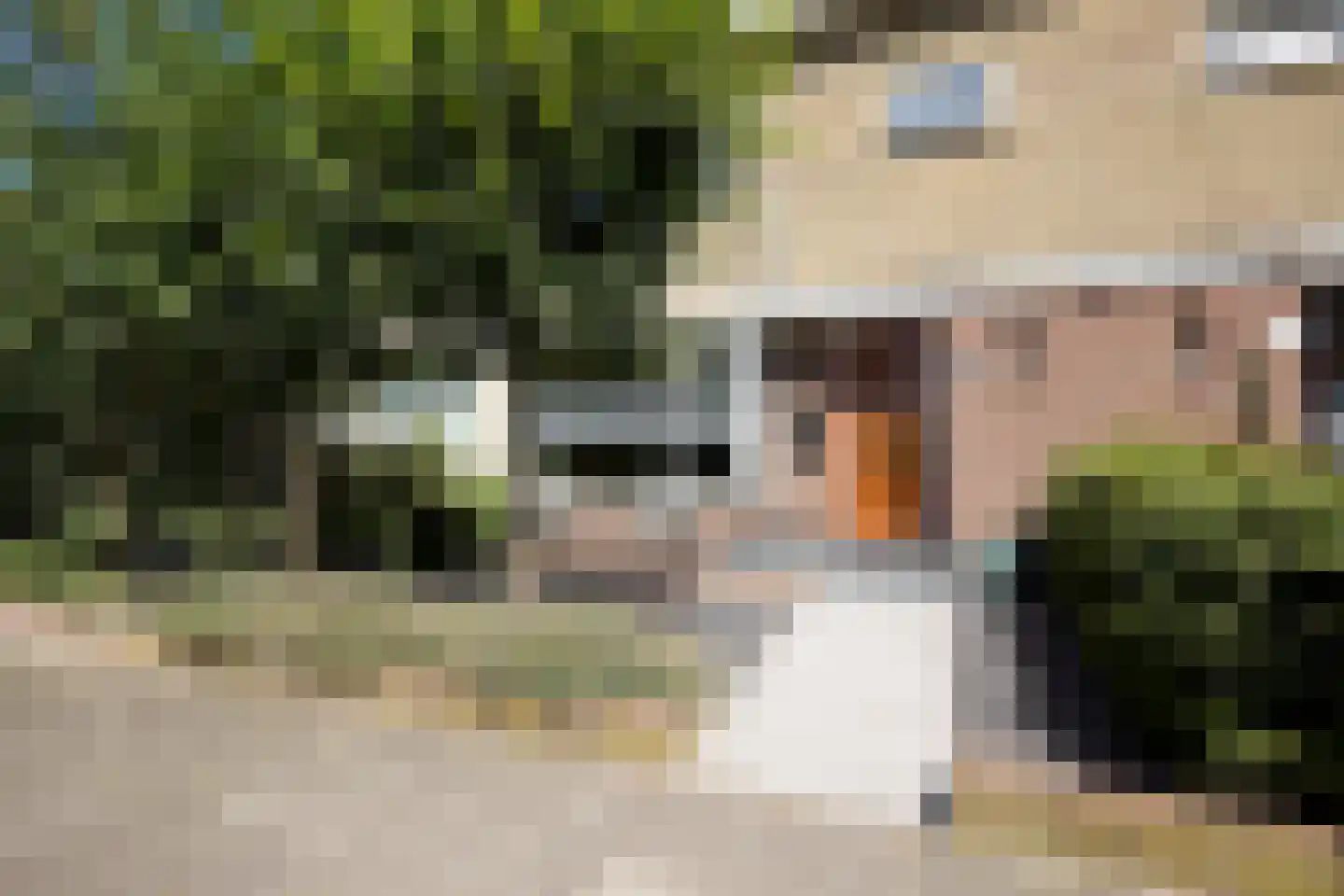 Willem de Zwijgerlaan 12 Sassenheim thumbnail 8