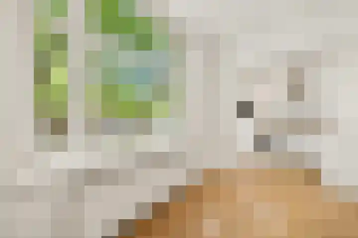Willem de Zwijgerlaan 120 3 Amsterdam thumbnail 15