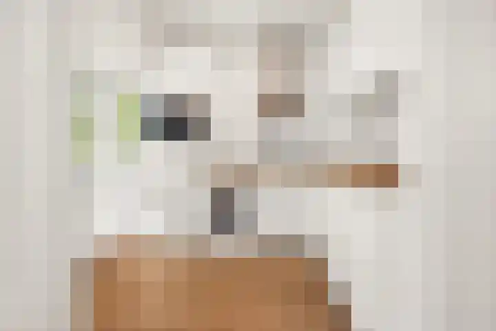 Willem de Zwijgerlaan 120 3 Amsterdam thumbnail 16