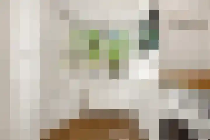 Willem de Zwijgerlaan 120 3 Amsterdam thumbnail 20