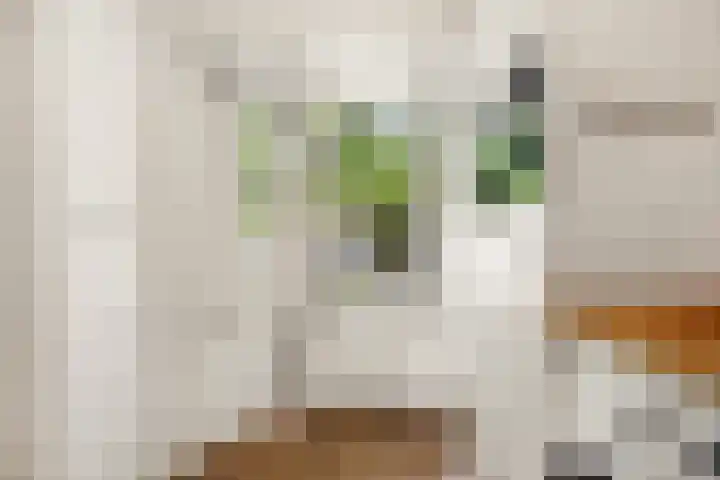 Willem de Zwijgerlaan 120 3 Amsterdam thumbnail 21