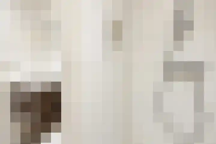 Willem de Zwijgerlaan 120 3 Amsterdam thumbnail 25