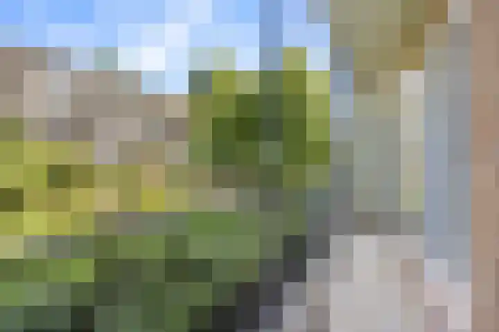Willem de Zwijgerlaan 120 3 Amsterdam thumbnail 36