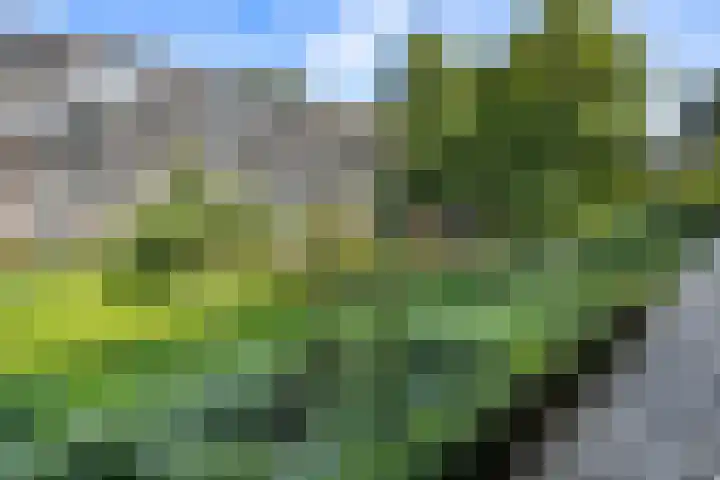 Willem de Zwijgerlaan 120 3 Amsterdam thumbnail 38
