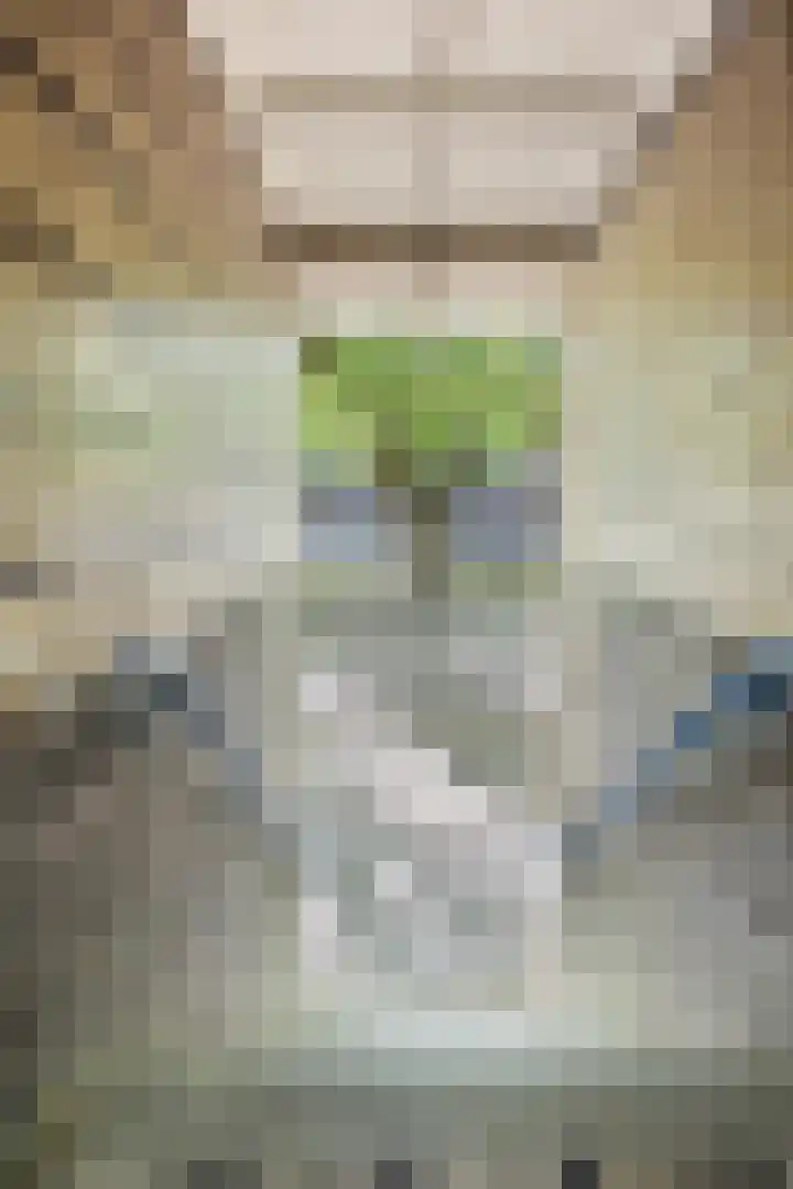 Willem de Zwijgerlaan 120 3 Amsterdam thumbnail 42