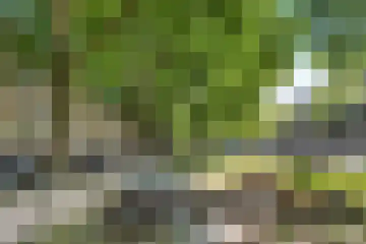 Willem de Zwijgerlaan 120 3 Amsterdam thumbnail 44