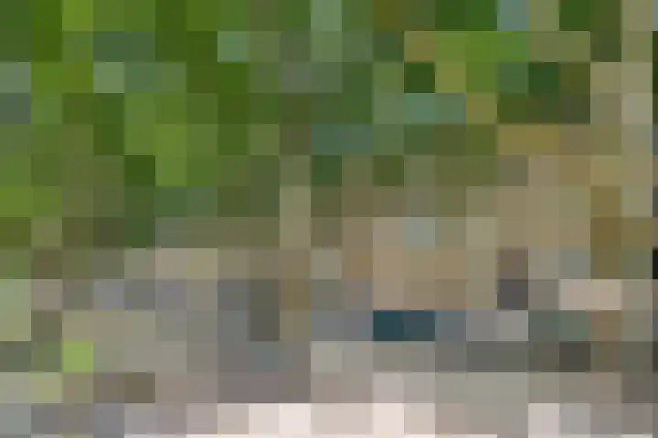 Willem de Zwijgerlaan 120 3 Amsterdam thumbnail 45