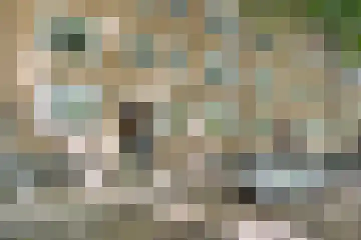 Willem de Zwijgerlaan 120 3 Amsterdam thumbnail 46