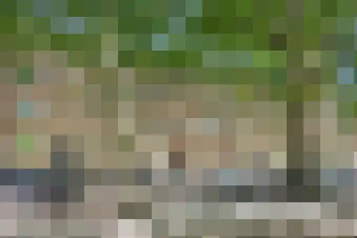 Willem de Zwijgerlaan 120 3 Amsterdam thumbnail 54