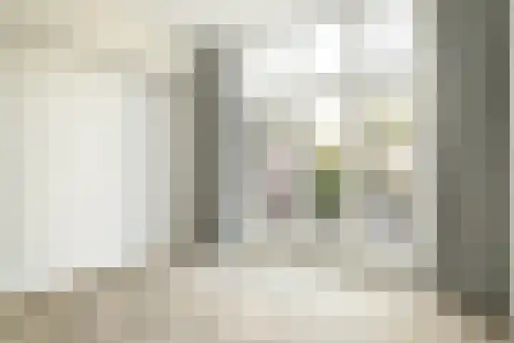 Willem de Zwijgerlaan 121 A Den Haag thumbnail 12