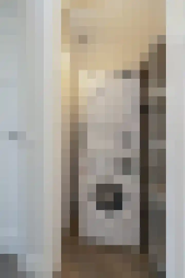 Willem de Zwijgerlaan 121 A Den Haag thumbnail 17