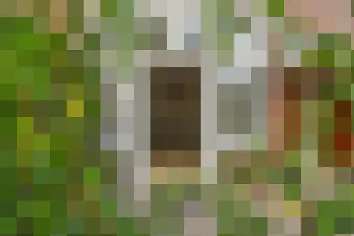 Willem de Zwijgerlaan 121 A Den Haag thumbnail 19