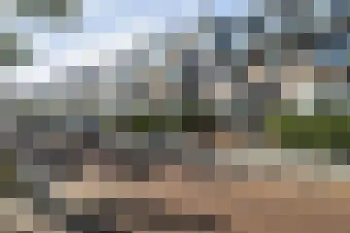 Willem de Zwijgerlaan 121 A Den Haag thumbnail 20