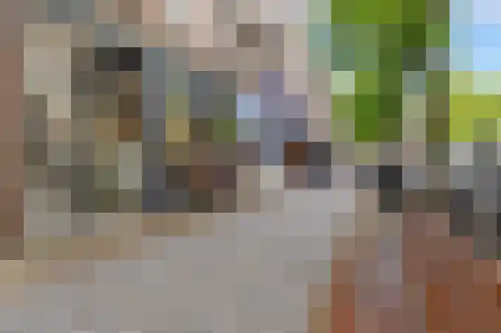 Willem de Zwijgerlaan 121 A Den Haag thumbnail 24