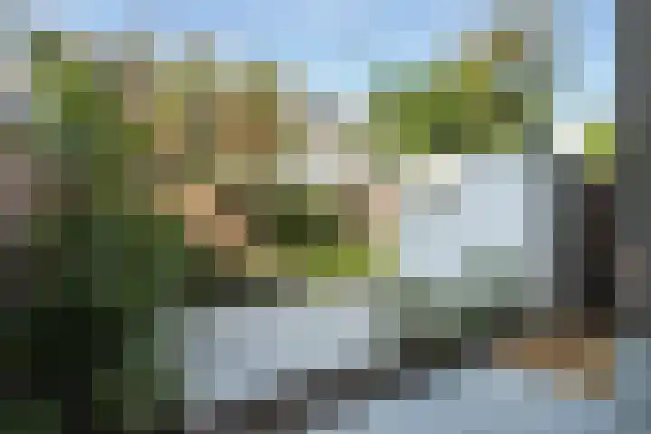 Willem de Zwijgerlaan 121 A Den Haag thumbnail 4