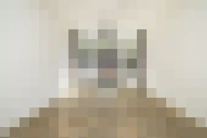 Willem de Zwijgerlaan 121 A Den Haag thumbnail 6