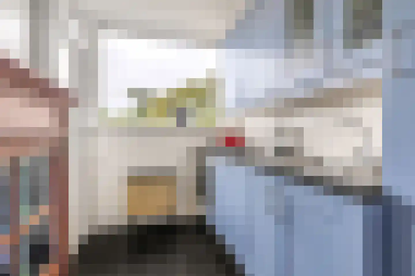 Willem de Zwijgerlaan 122 Alkmaar thumbnail 11