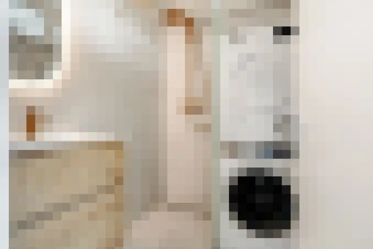 Willem de Zwijgerlaan 122 Alkmaar thumbnail 15