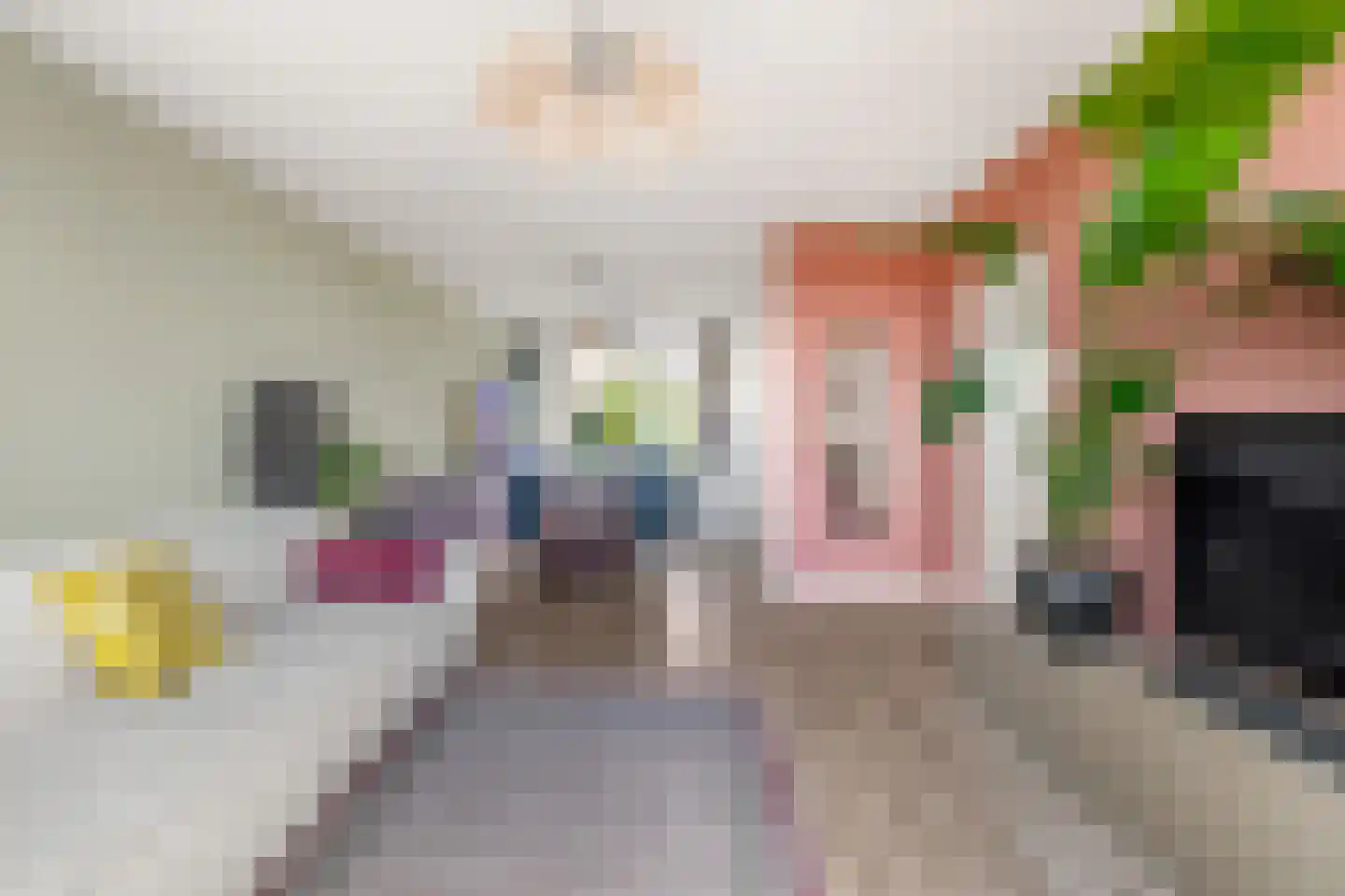 Willem de Zwijgerlaan 122 Alkmaar thumbnail 23