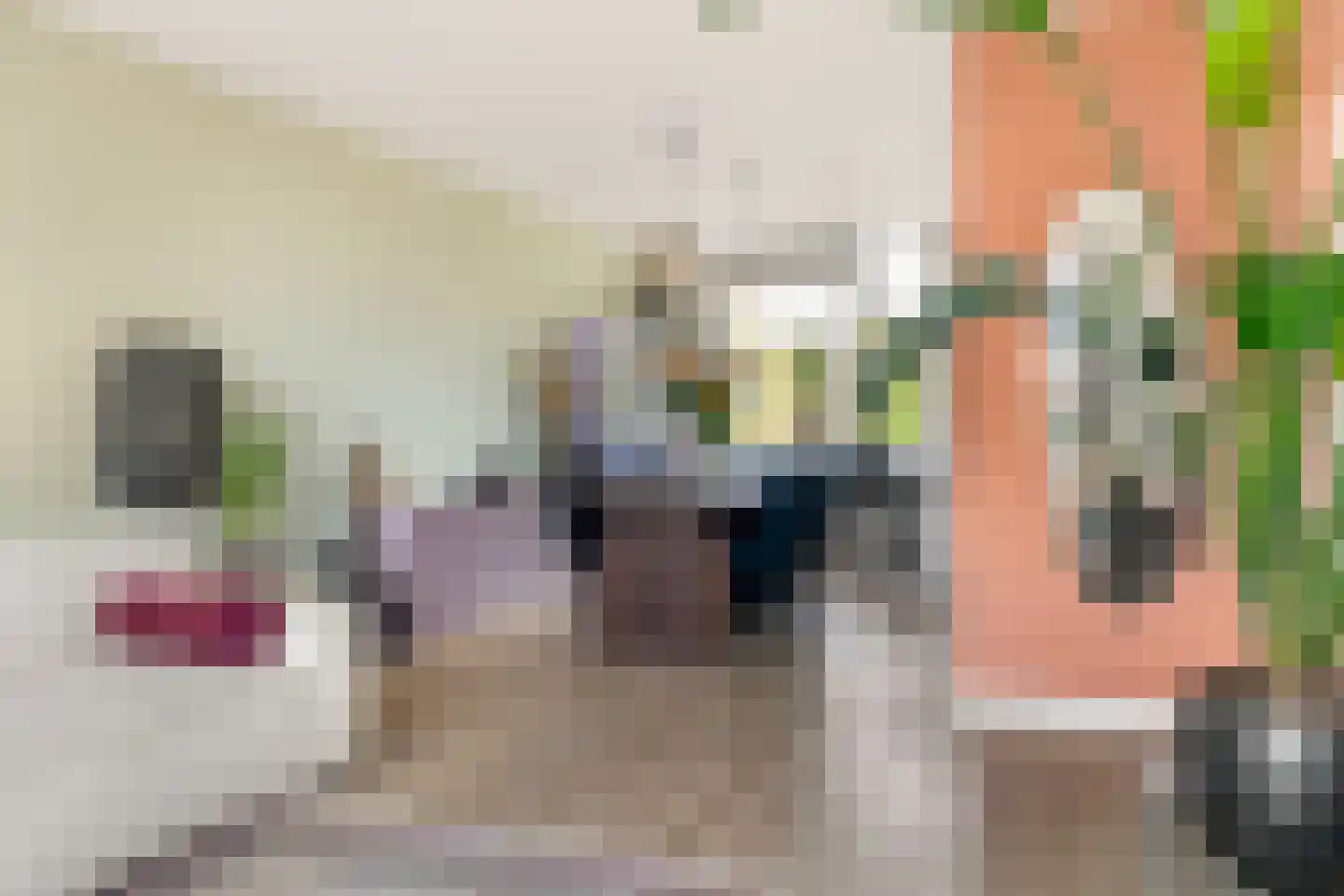 Willem de Zwijgerlaan 122 Alkmaar thumbnail 24