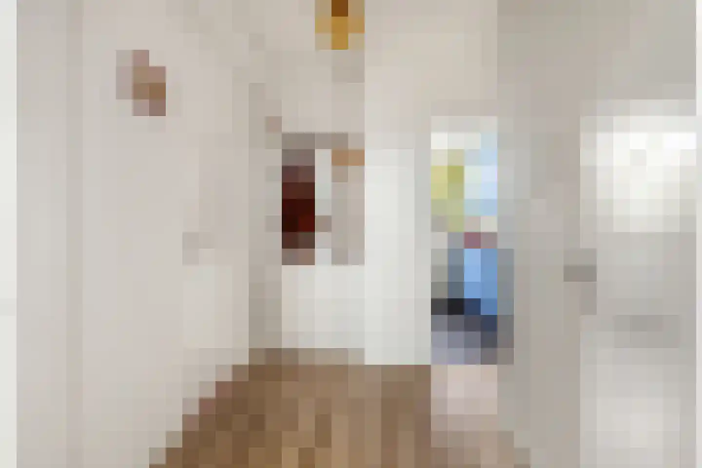 Willem de Zwijgerlaan 122 Alkmaar thumbnail 6