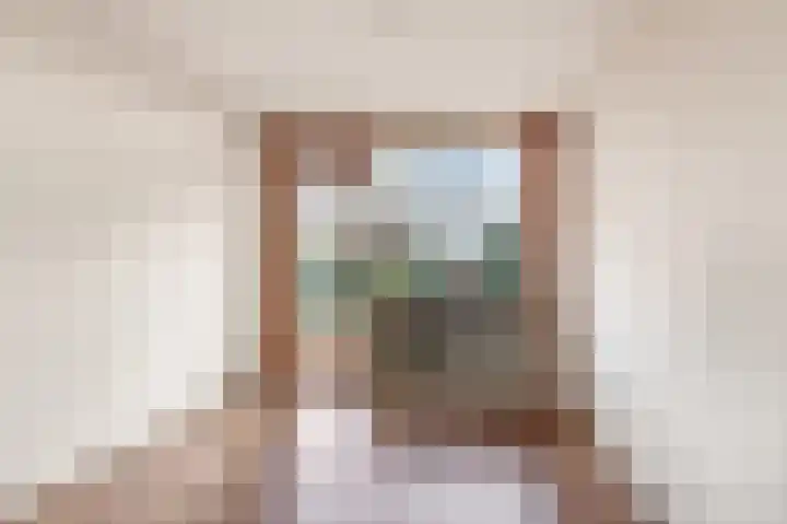 Willem de Zwijgerlaan 122 Castricum thumbnail 13