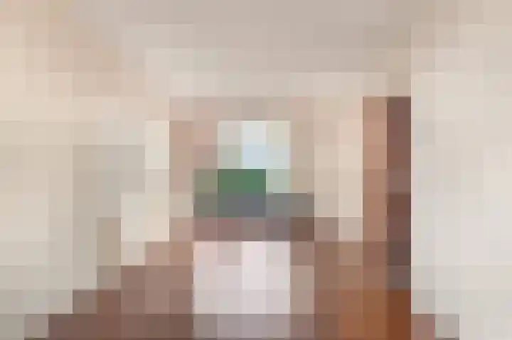 Willem de Zwijgerlaan 122 Castricum thumbnail 16