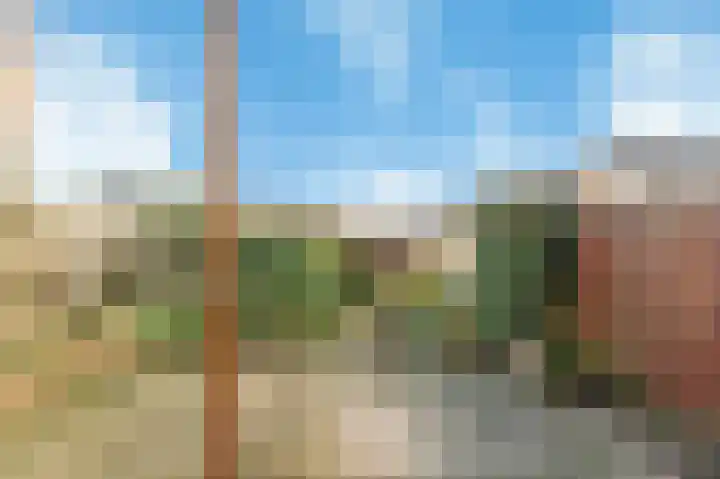 Willem de Zwijgerlaan 122 Castricum thumbnail 33