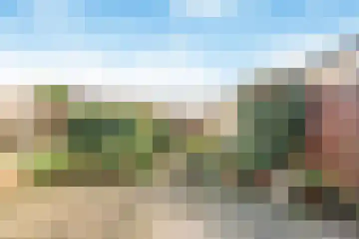 Willem de Zwijgerlaan 122 Castricum thumbnail 34
