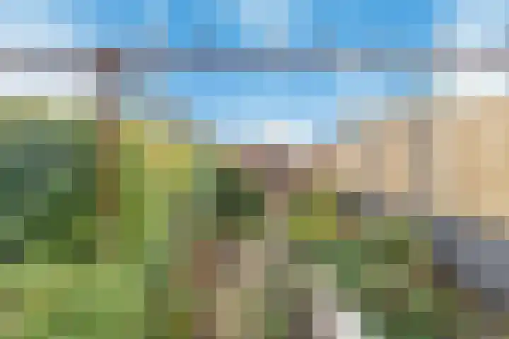 Willem de Zwijgerlaan 122 Castricum thumbnail 35