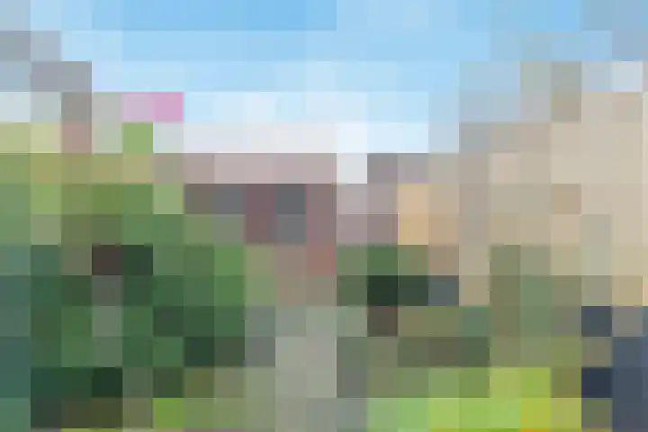 Willem de Zwijgerlaan 122 Castricum thumbnail 36