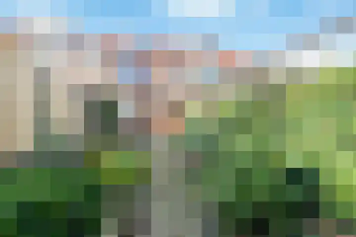 Willem de Zwijgerlaan 122 Castricum thumbnail 37