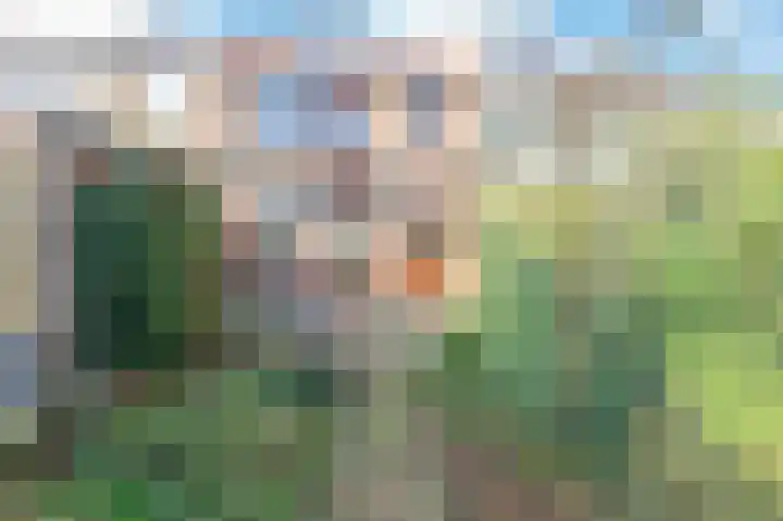 Willem de Zwijgerlaan 122 Castricum thumbnail 38