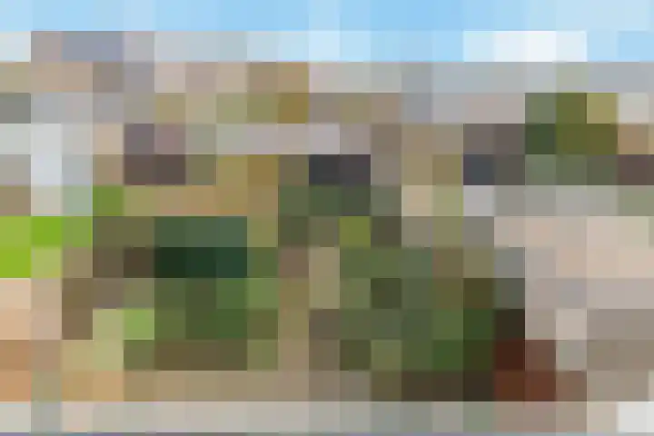 Willem de Zwijgerlaan 122 Castricum thumbnail 40