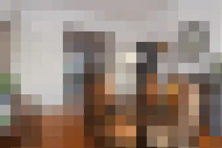 Willem de Zwijgerlaan 122 Den Haag thumbnail 10