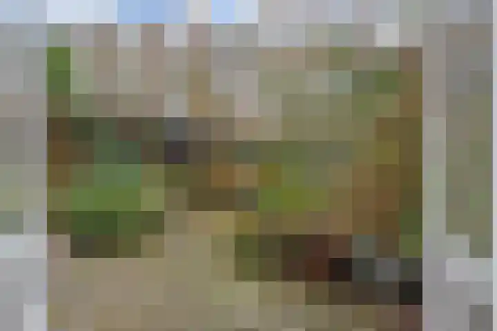 Willem de Zwijgerlaan 122 Den Haag thumbnail 15