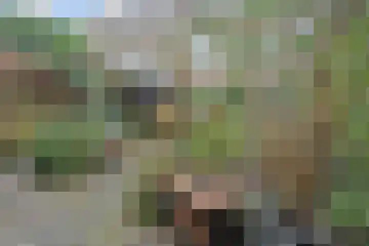 Willem de Zwijgerlaan 122 Den Haag thumbnail 16