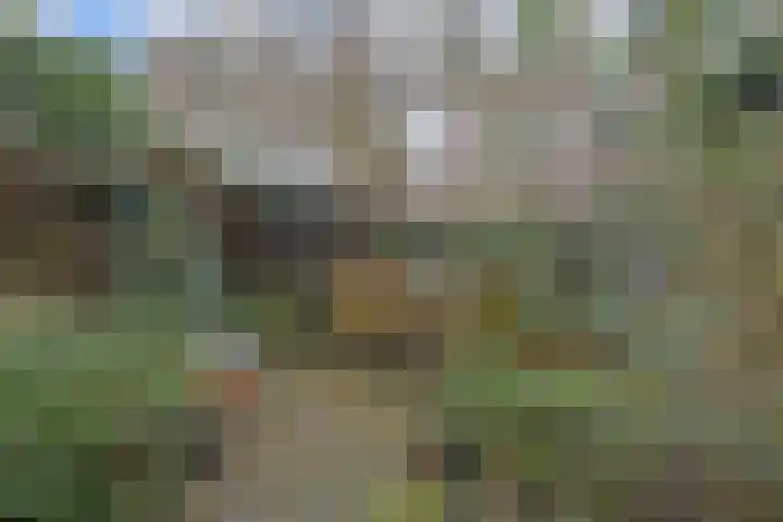 Willem de Zwijgerlaan 122 Den Haag thumbnail 17