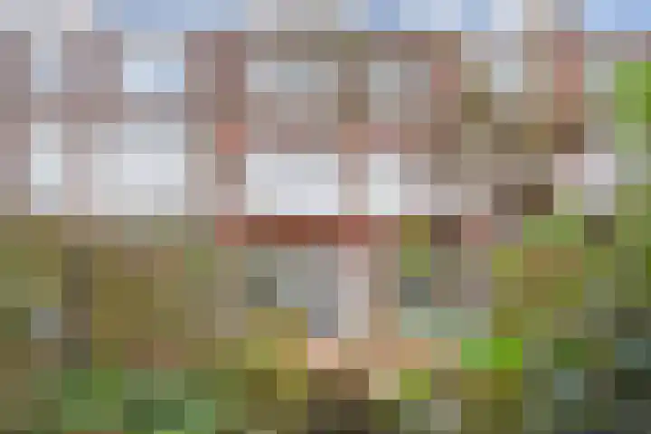 Willem de Zwijgerlaan 122 Den Haag thumbnail 18