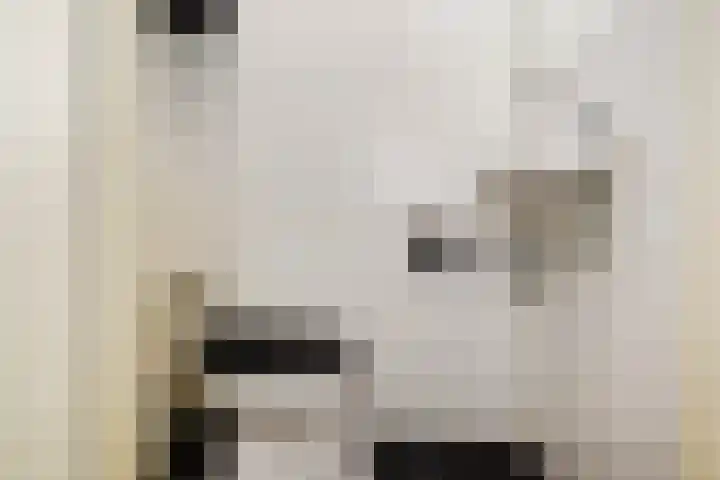 Willem de Zwijgerlaan 122 Den Haag thumbnail 28