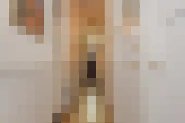 Willem de Zwijgerlaan 122 Den Haag thumbnail 29