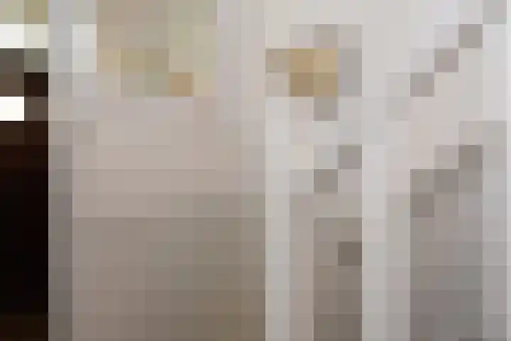 Willem de Zwijgerlaan 122 Den Haag thumbnail 30