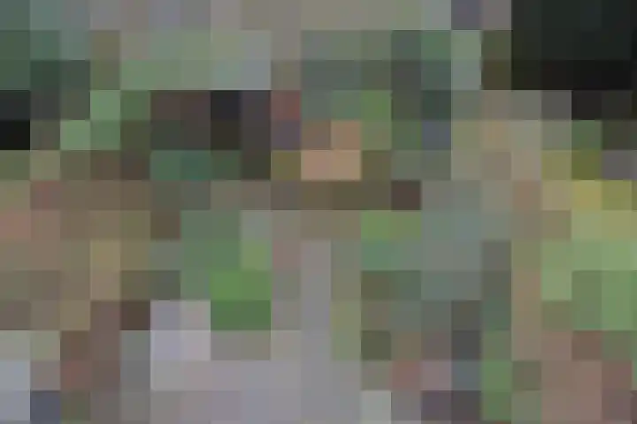 Willem de Zwijgerlaan 122 Den Haag thumbnail 35