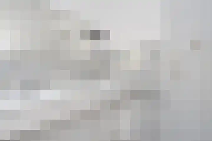 Willem de Zwijgerlaan 122 Den Haag thumbnail 39