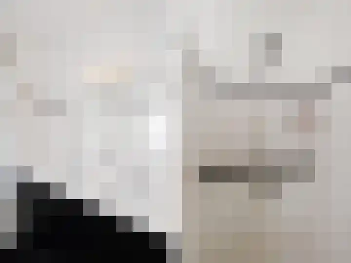 Willem de Zwijgerlaan 122 Den Haag thumbnail 50