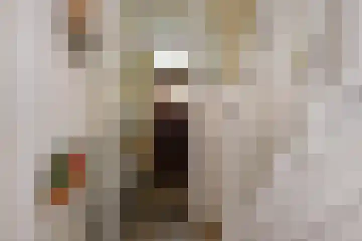 Willem de Zwijgerlaan 122 Den Haag thumbnail 56