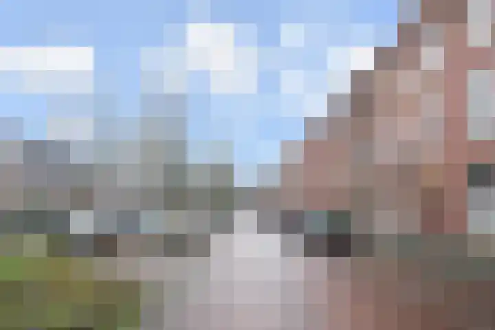 Willem de Zwijgerlaan 122 Den Haag thumbnail 57