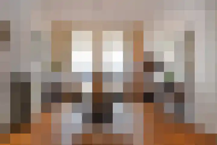 Willem de Zwijgerlaan 122 Den Haag thumbnail 7