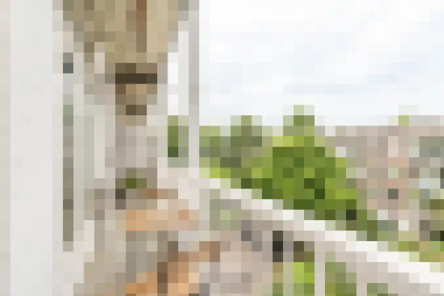Willem de Zwijgerlaan 125 3 Amsterdam thumbnail 9