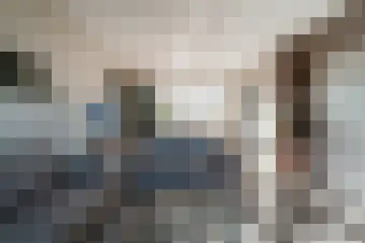 Willem de Zwijgerlaan 126 Zevenaar thumbnail 17